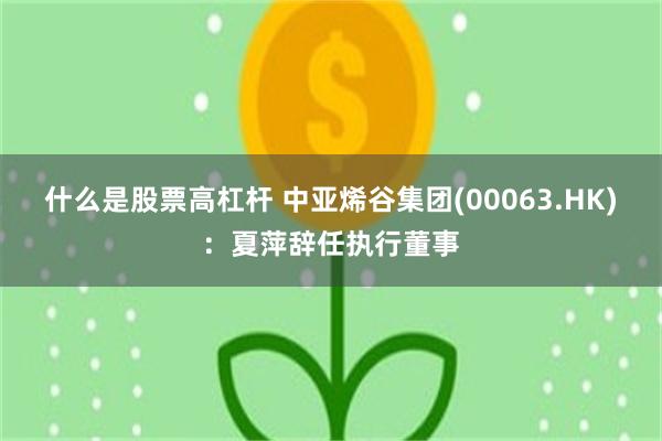什么是股票高杠杆 中亚烯谷集团(00063.HK)：夏萍辞任执行董事