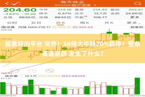 股票好的平台 突然!36倍大牛股20%跌停!整条赛道崩跌 发生了什么?