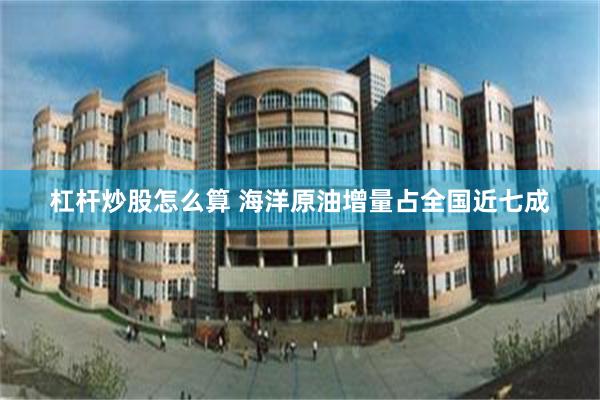 杠杆炒股怎么算 海洋原油增量占全国近七成