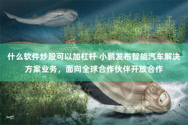 什么软件炒股可以加杠杆 小鹏发布智能汽车解决方案业务，面向全球合作伙伴开放合作